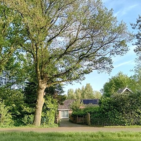 Ruim Huisje Op Een Prachtige Plek Hemrik Exteriör bild