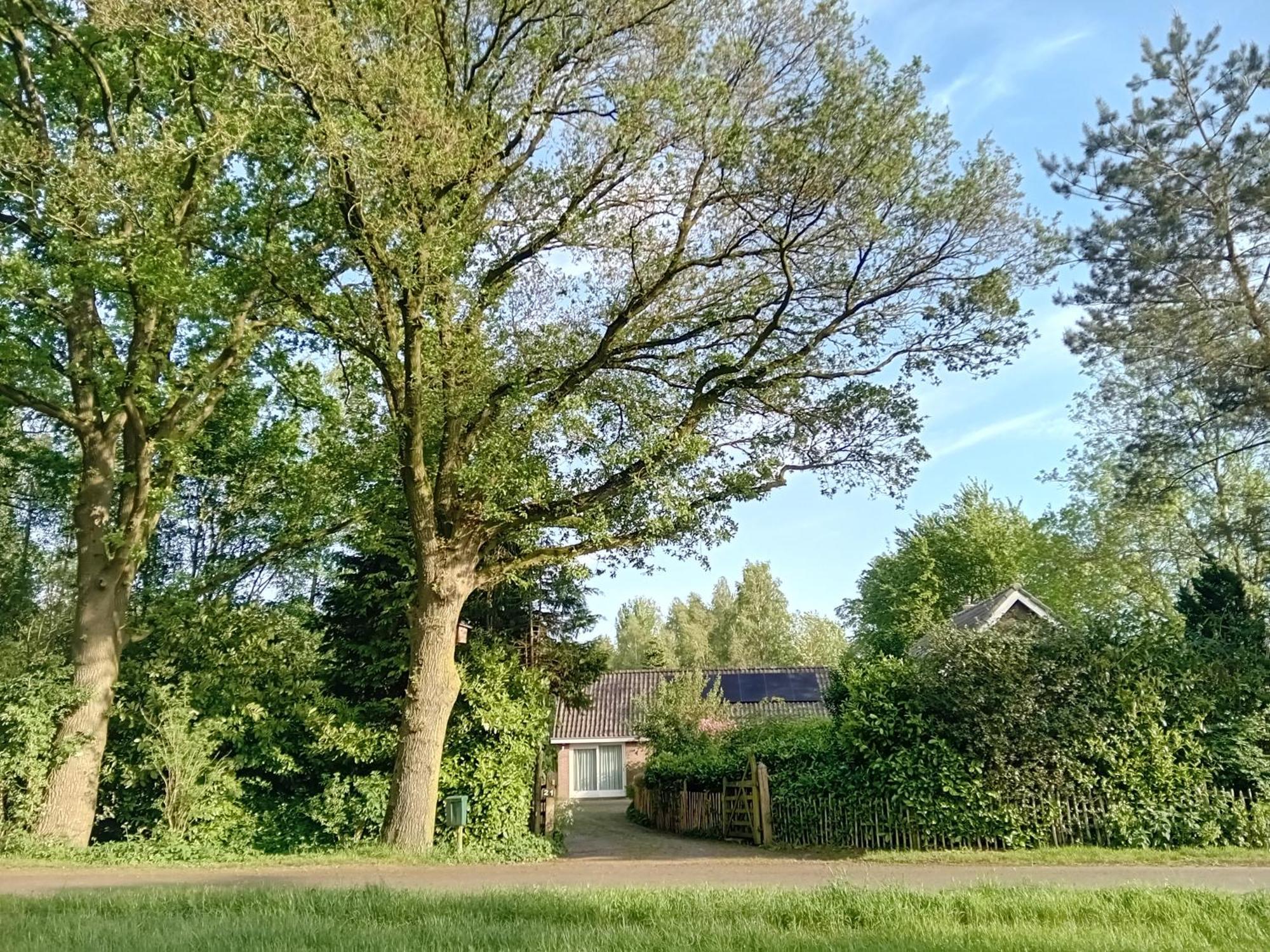 Ruim Huisje Op Een Prachtige Plek Hemrik Exteriör bild